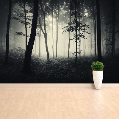 Papel de parede Floresta enevoada