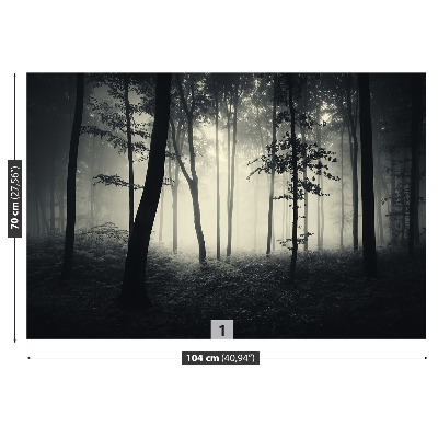 Papel de parede Floresta enevoada