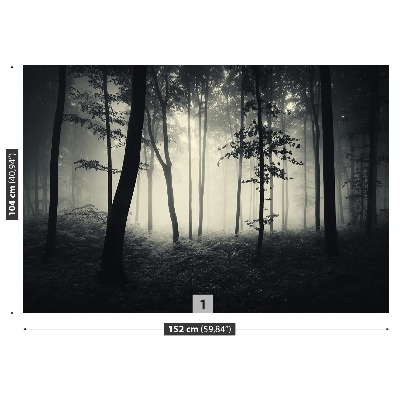 Papel de parede Floresta enevoada