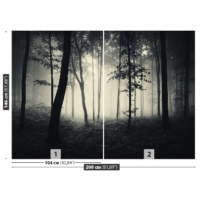 Papel de parede Floresta enevoada