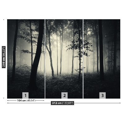 Papel de parede Floresta enevoada