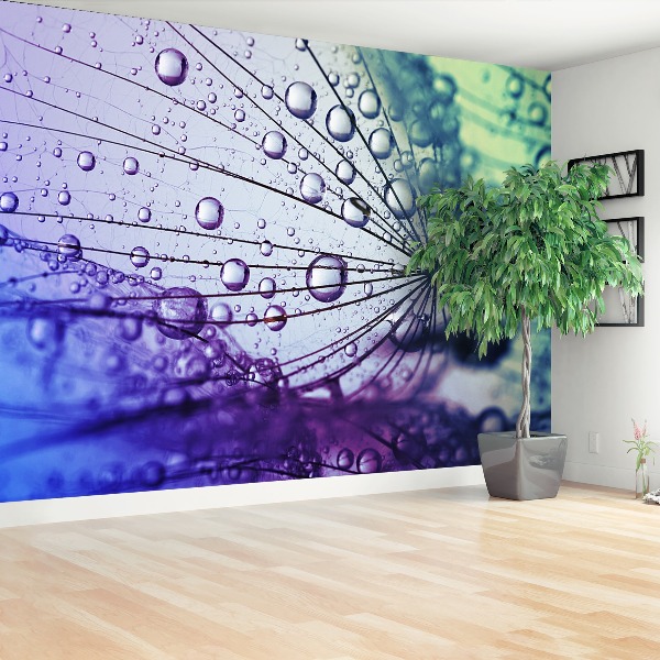 Papel de parede Flor dente-de-leão