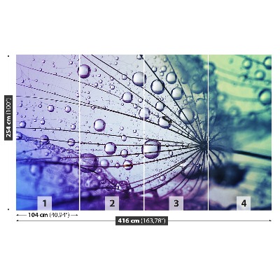 Papel de parede Flor dente-de-leão