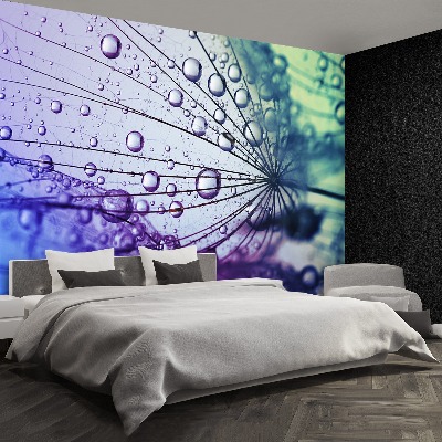 Papel de parede Flor dente-de-leão