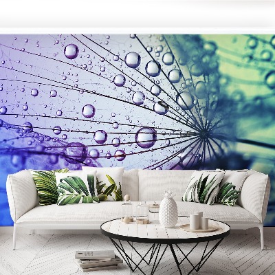 Papel de parede Flor dente-de-leão