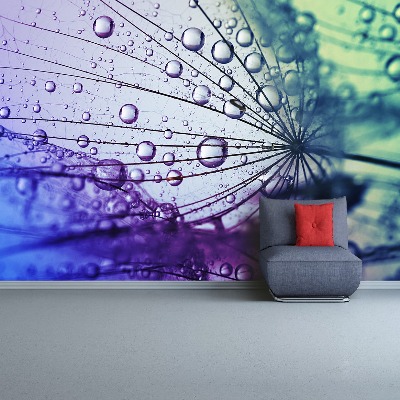 Papel de parede Flor dente-de-leão