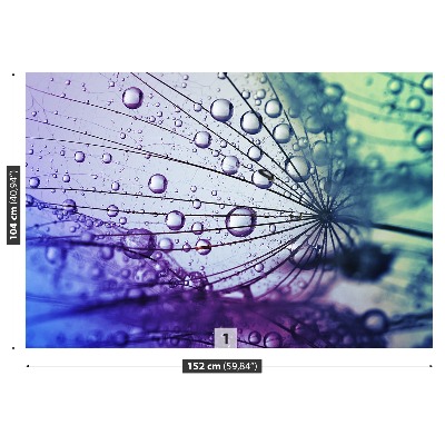 Papel de parede Flor dente-de-leão