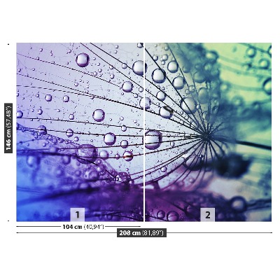 Papel de parede Flor dente-de-leão