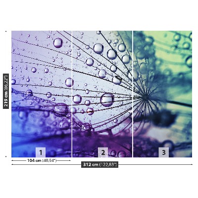 Papel de parede Flor dente-de-leão