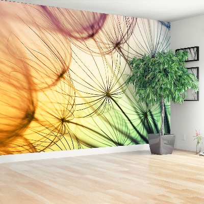 Papel de parede Dente-de-leão colorido