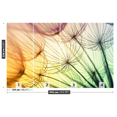 Papel de parede Dente-de-leão colorido