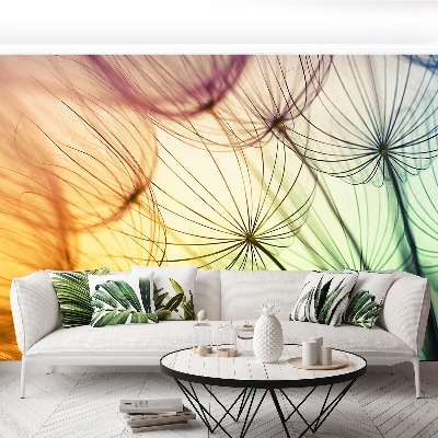 Papel de parede Dente-de-leão colorido