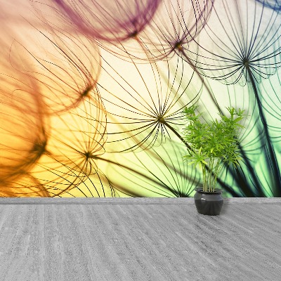 Papel de parede Dente-de-leão colorido