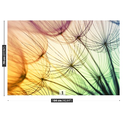 Papel de parede Dente-de-leão colorido