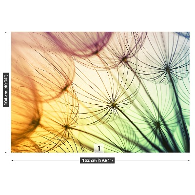 Papel de parede Dente-de-leão colorido