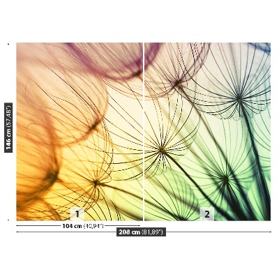 Papel de parede Dente-de-leão colorido