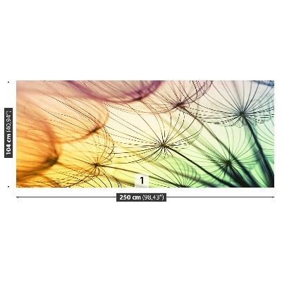 Papel de parede Dente-de-leão colorido