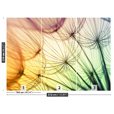 Papel de parede Dente-de-leão colorido
