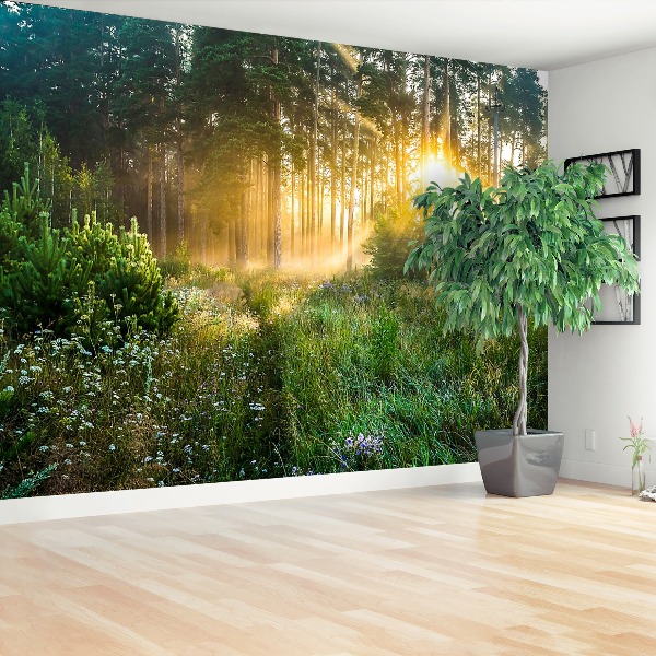 Papel de parede Floresta