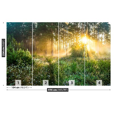 Papel de parede Floresta