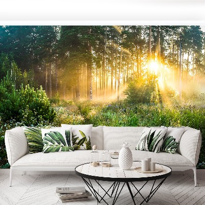 Papel de parede Floresta