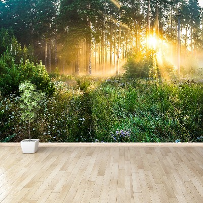 Papel de parede Floresta