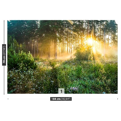 Papel de parede Floresta