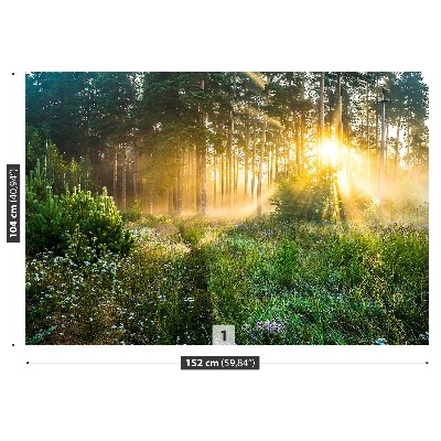 Papel de parede Floresta