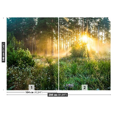 Papel de parede Floresta