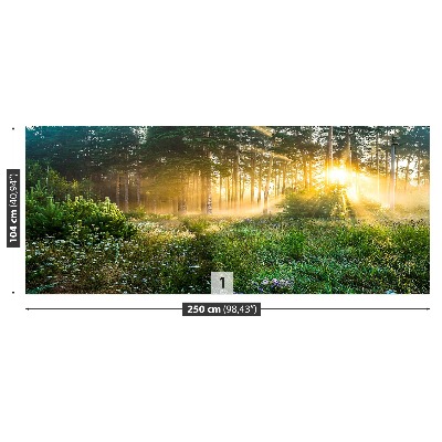 Papel de parede Floresta