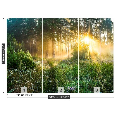 Papel de parede Floresta