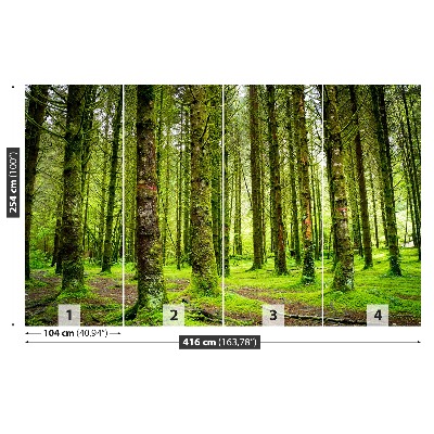 Papel de parede Árvores