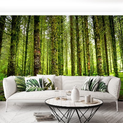 Papel de parede Árvores