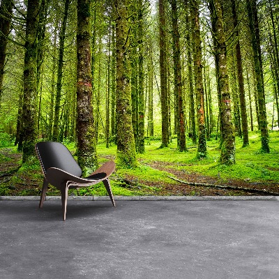 Papel de parede Árvores