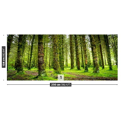 Papel de parede Árvores