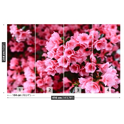 Mural de parede Rododendro rosa