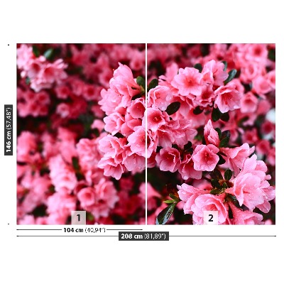 Mural de parede Rododendro rosa