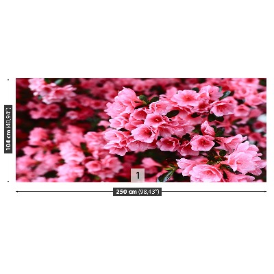 Mural de parede Rododendro rosa