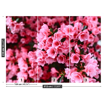 Mural de parede Rododendro rosa