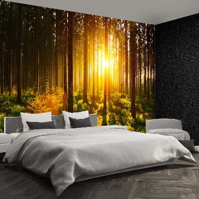 Mural de parede Sol da Floresta