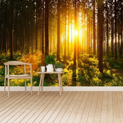 Mural de parede Sol da Floresta