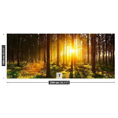 Mural de parede Sol da Floresta