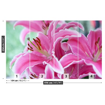 Papel de parede Lírio rosa