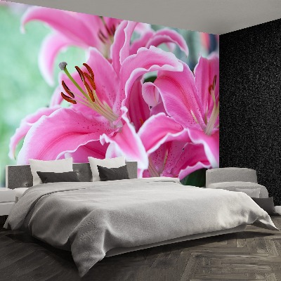 Papel de parede Lírio rosa