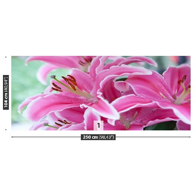 Papel de parede Lírio rosa