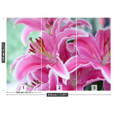 Papel de parede Lírio rosa