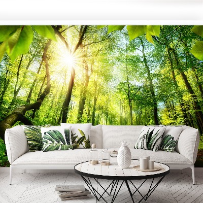 Mural de parede Floresta de faias