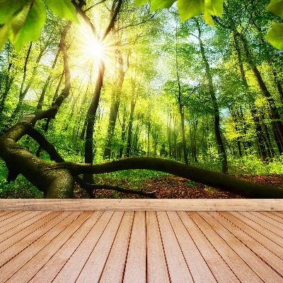 Mural de parede Floresta de faias