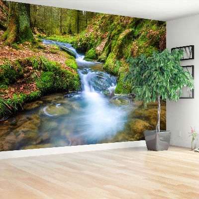 Papel de parede Riacho da Floresta