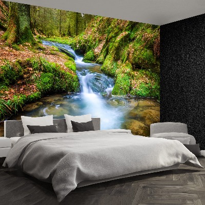 Papel de parede Riacho da Floresta